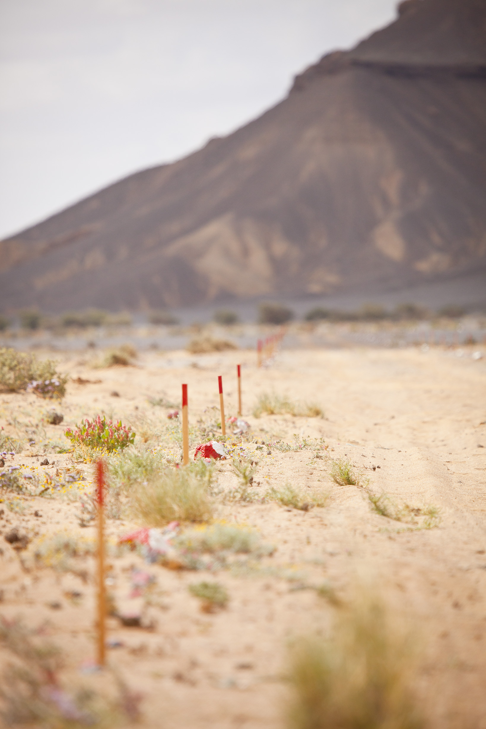 Clearance for land release in Iraq