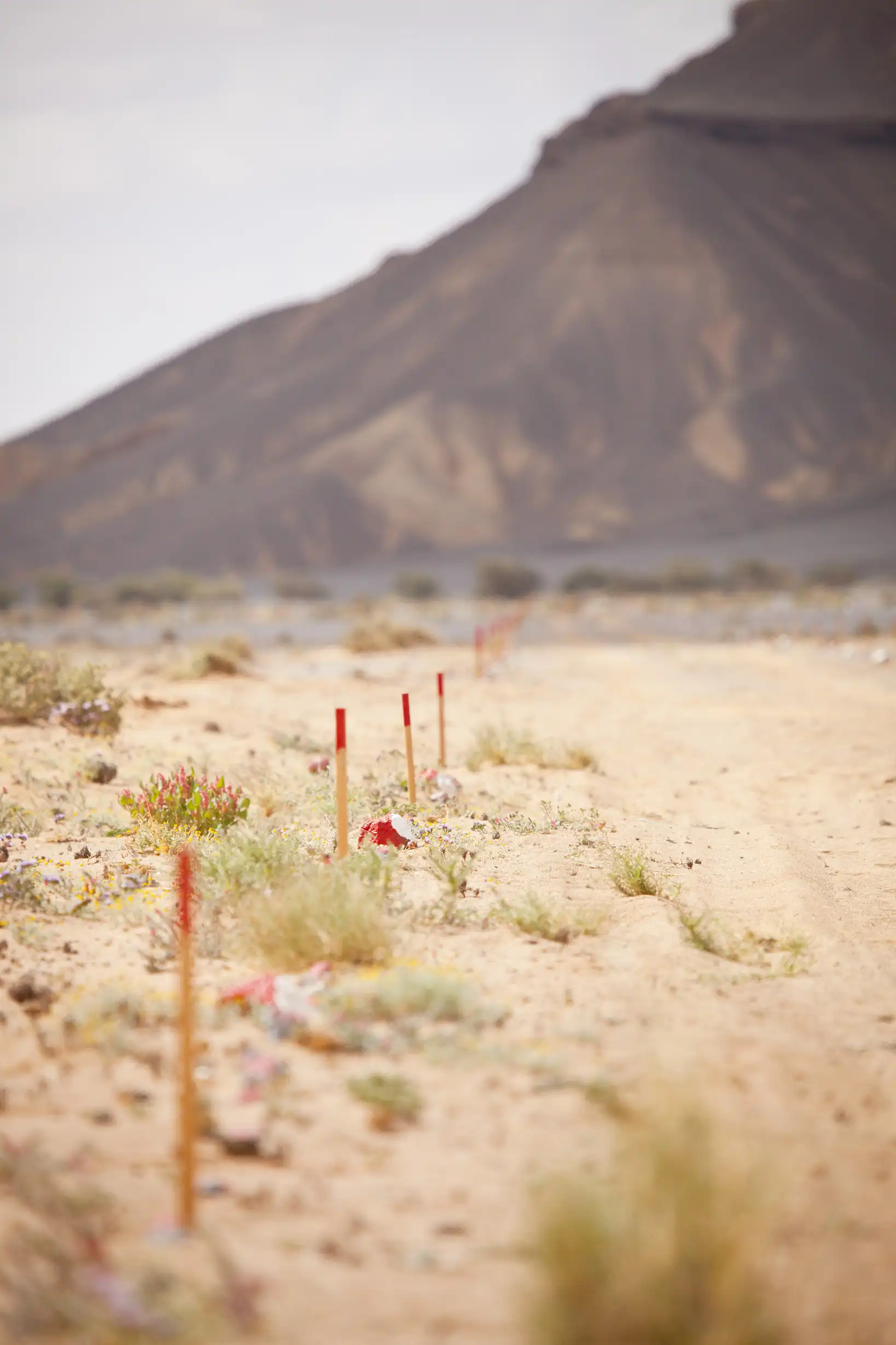 Clearance for land release in Iraq