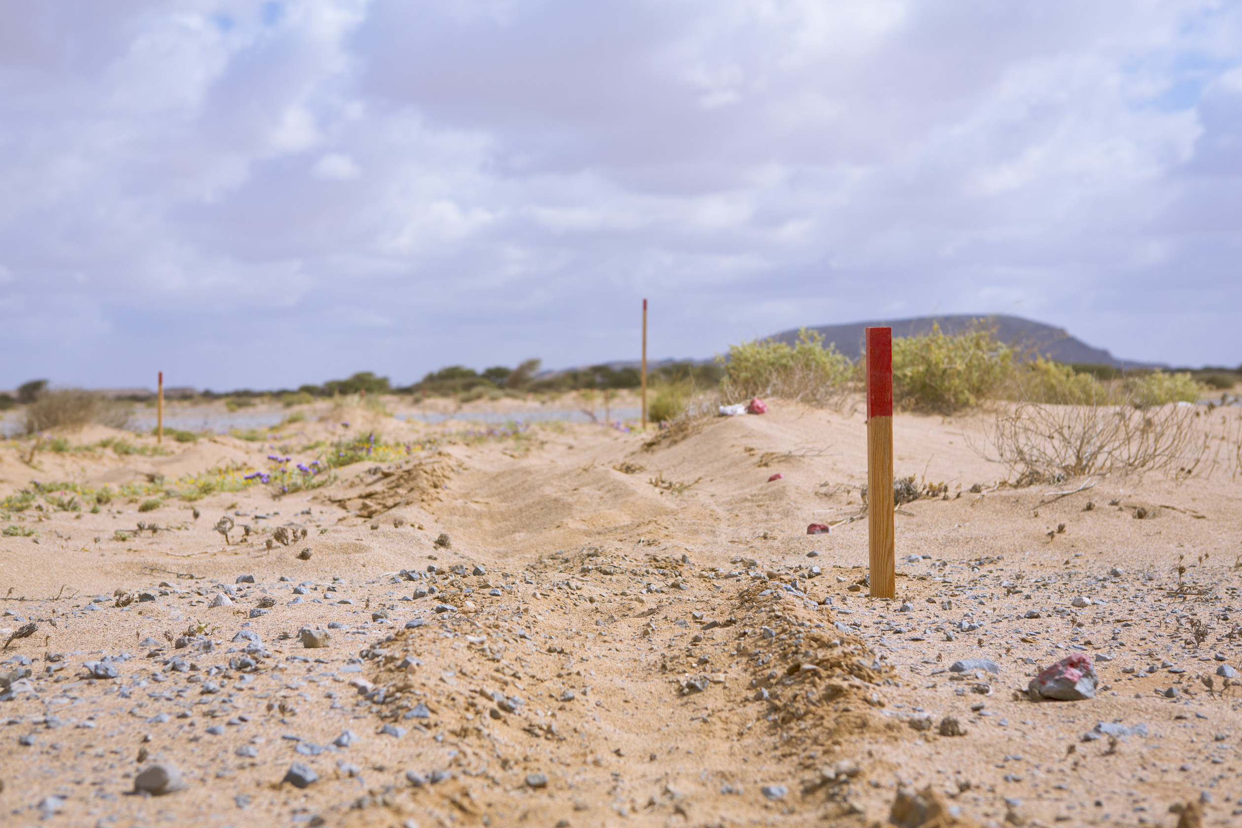 QA of deminer clearance skills Libya