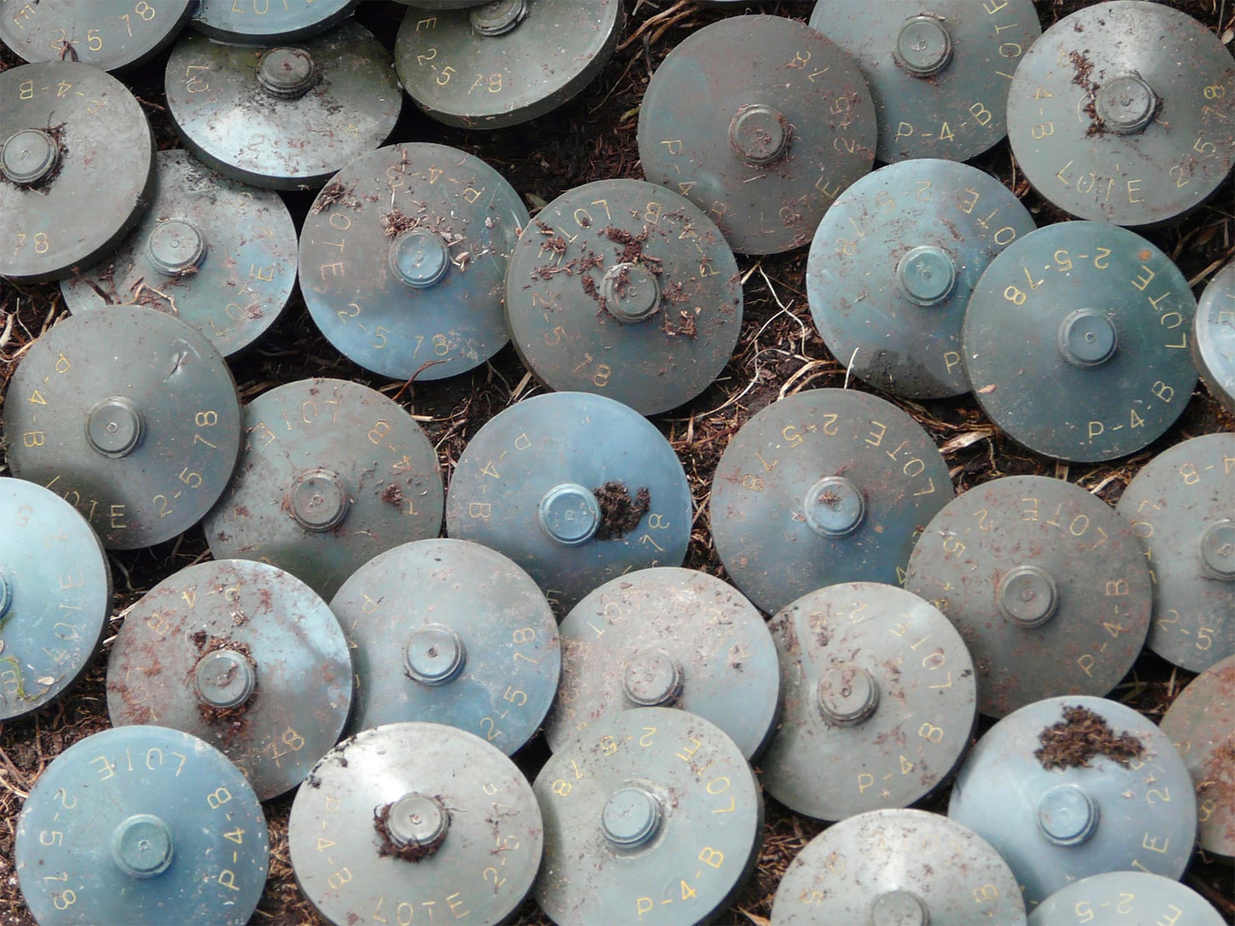 Project Masam landmine clearance in Yemen