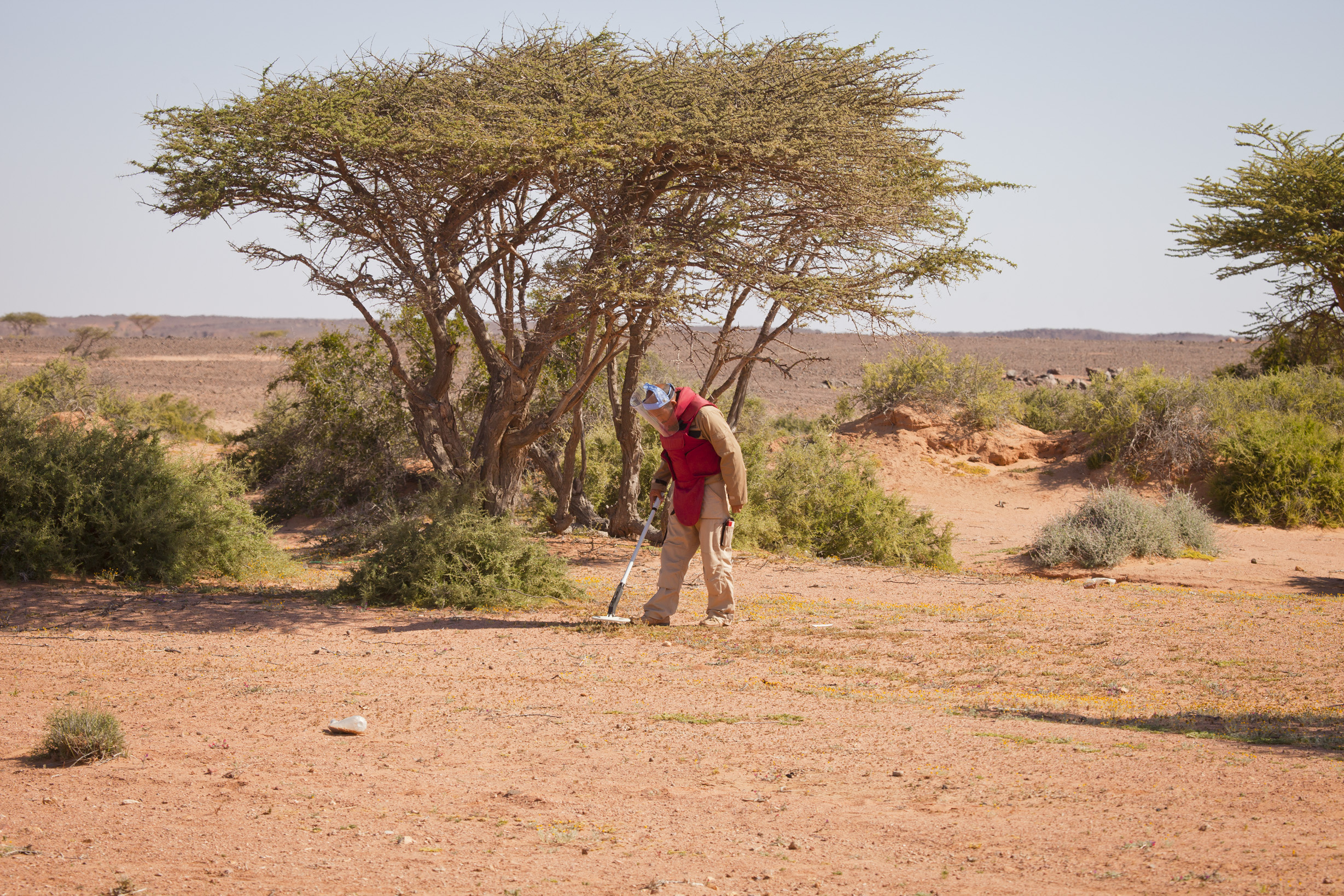 Mine action operations in Western Sahara