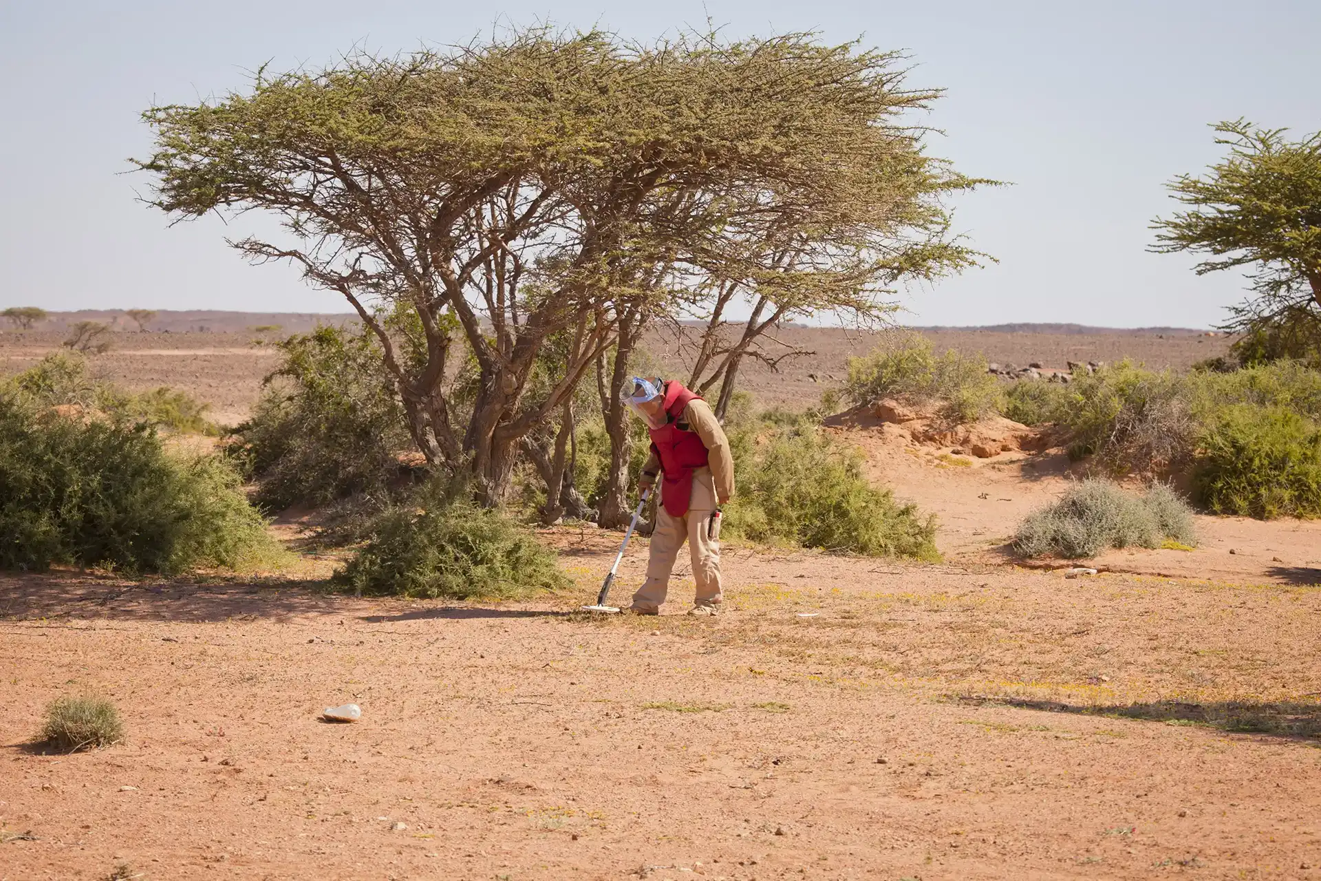 Mine action operations in Western Sahara
