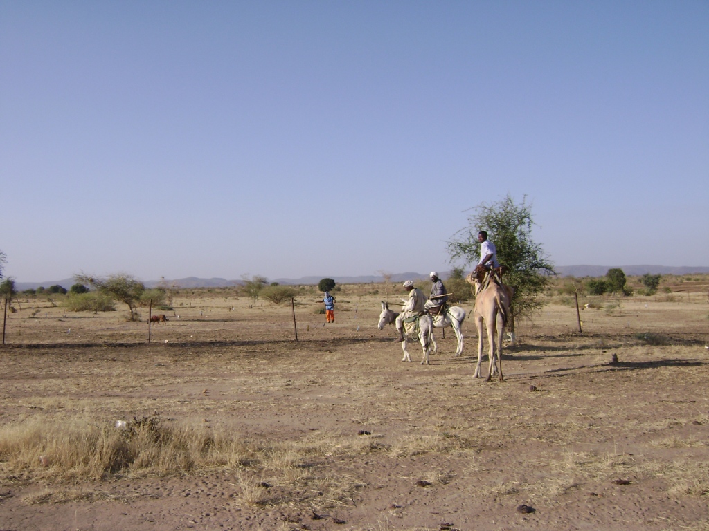 Explosive ordnance disposal Sudan