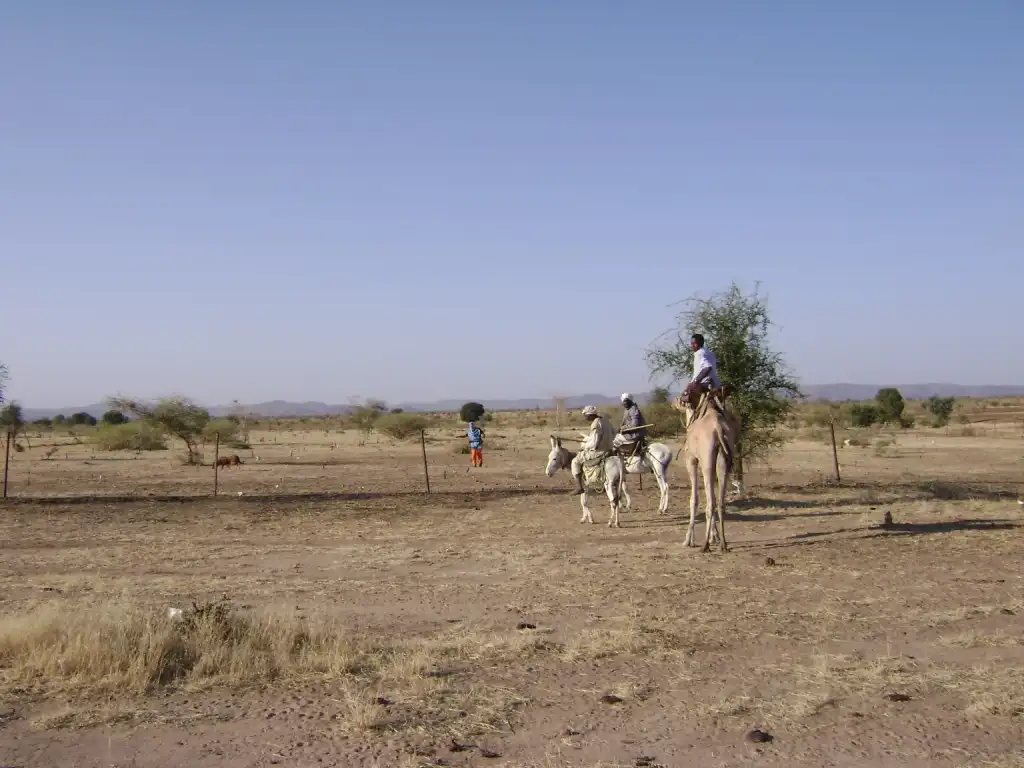 Explosive ordnance disposal Sudan