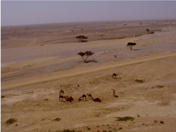 Risk Assessment on a live military firing range Oman