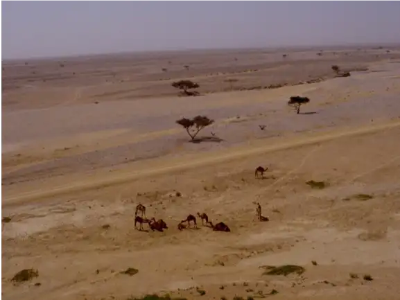 Risk Assessment on a live military firing range Oman