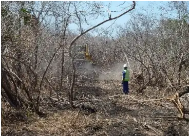 Area clearance for geotechnical investigation Mozambique