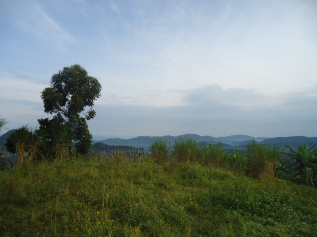 Humanitarian operations in Democratic Republic of Congo