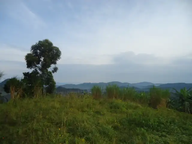 Humanitarian operations in Democratic Republic of Congo