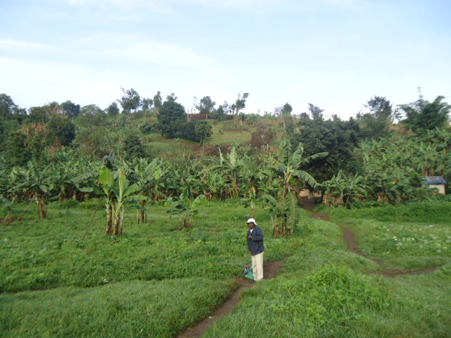 Explosive ordnance disposal in Democratic Republic of Congo