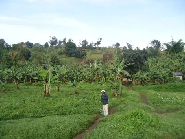 Explosive ordnance disposal in Democratic Republic of Congo