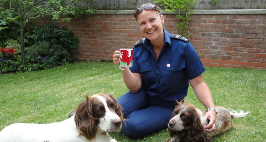 Nutritional dog training treats