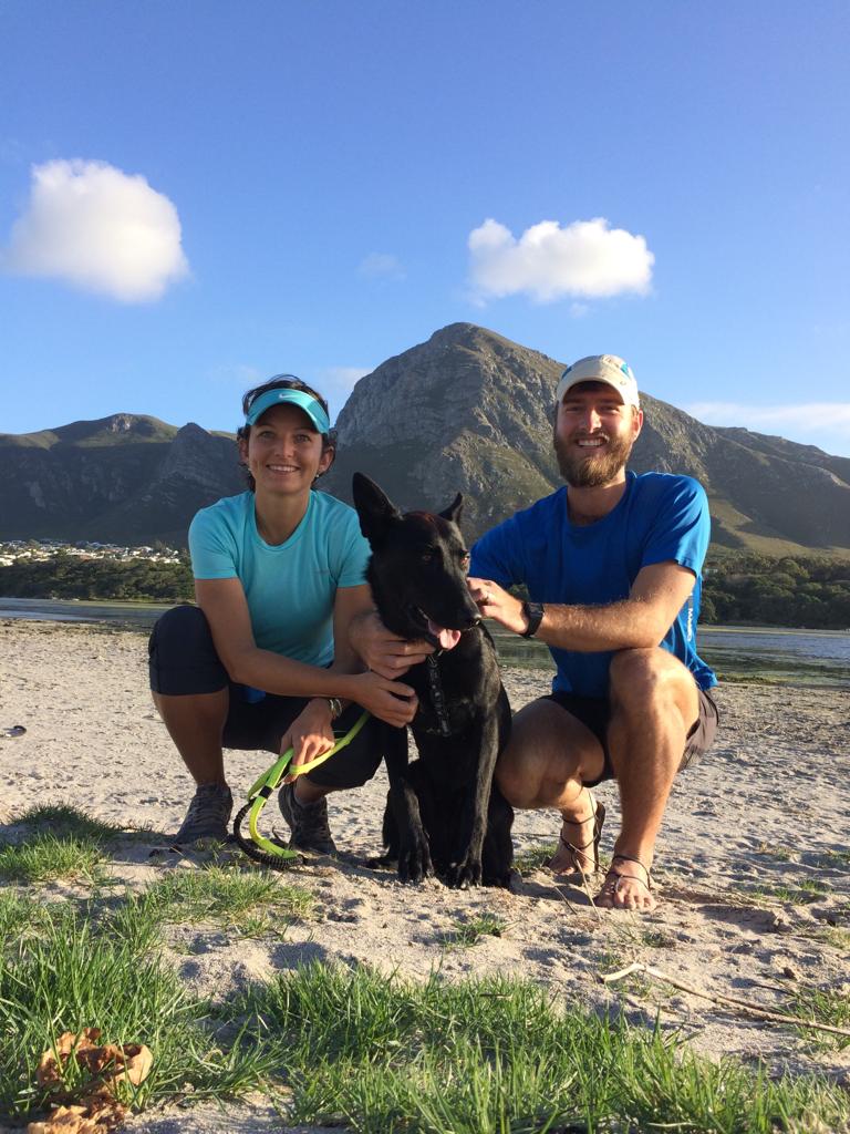 Preventing kennel stress in working dogs