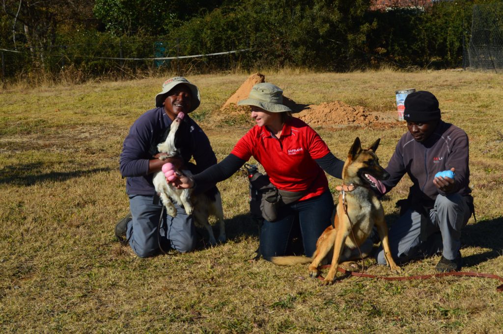 Protecting dogs from aflatoxins