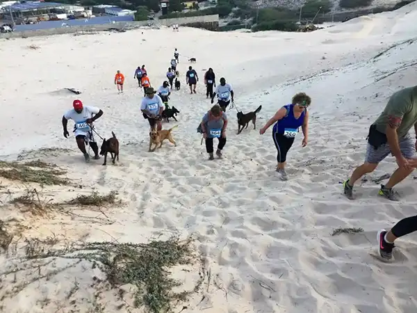 SafeLane Global Gallop