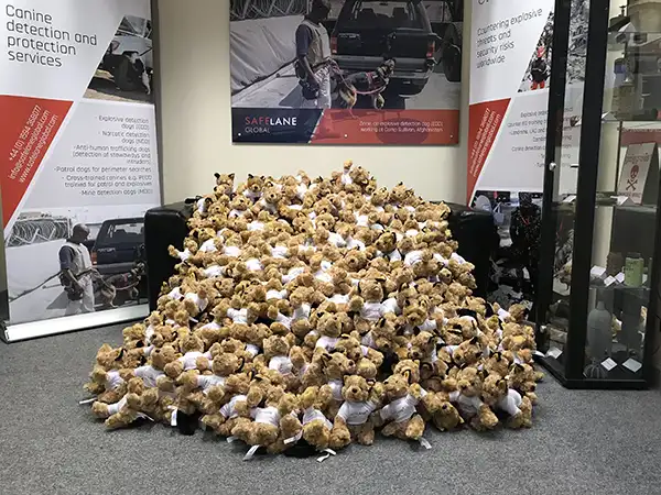 SafeLane mascot Jake