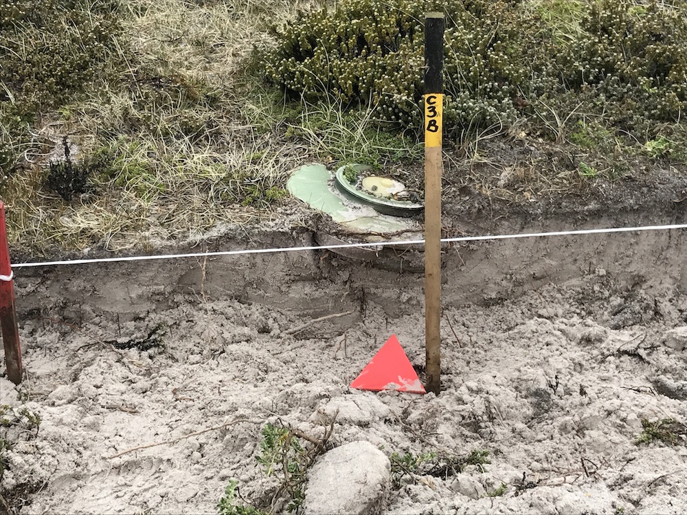 Landmine-free Falkland Islands