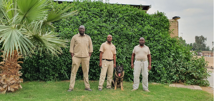 Explosive detection dog team catchup