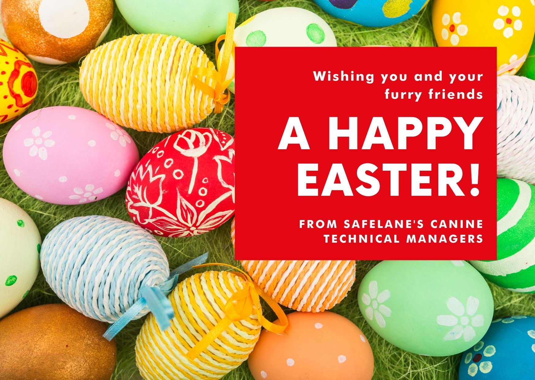 Easter dangers for dogs