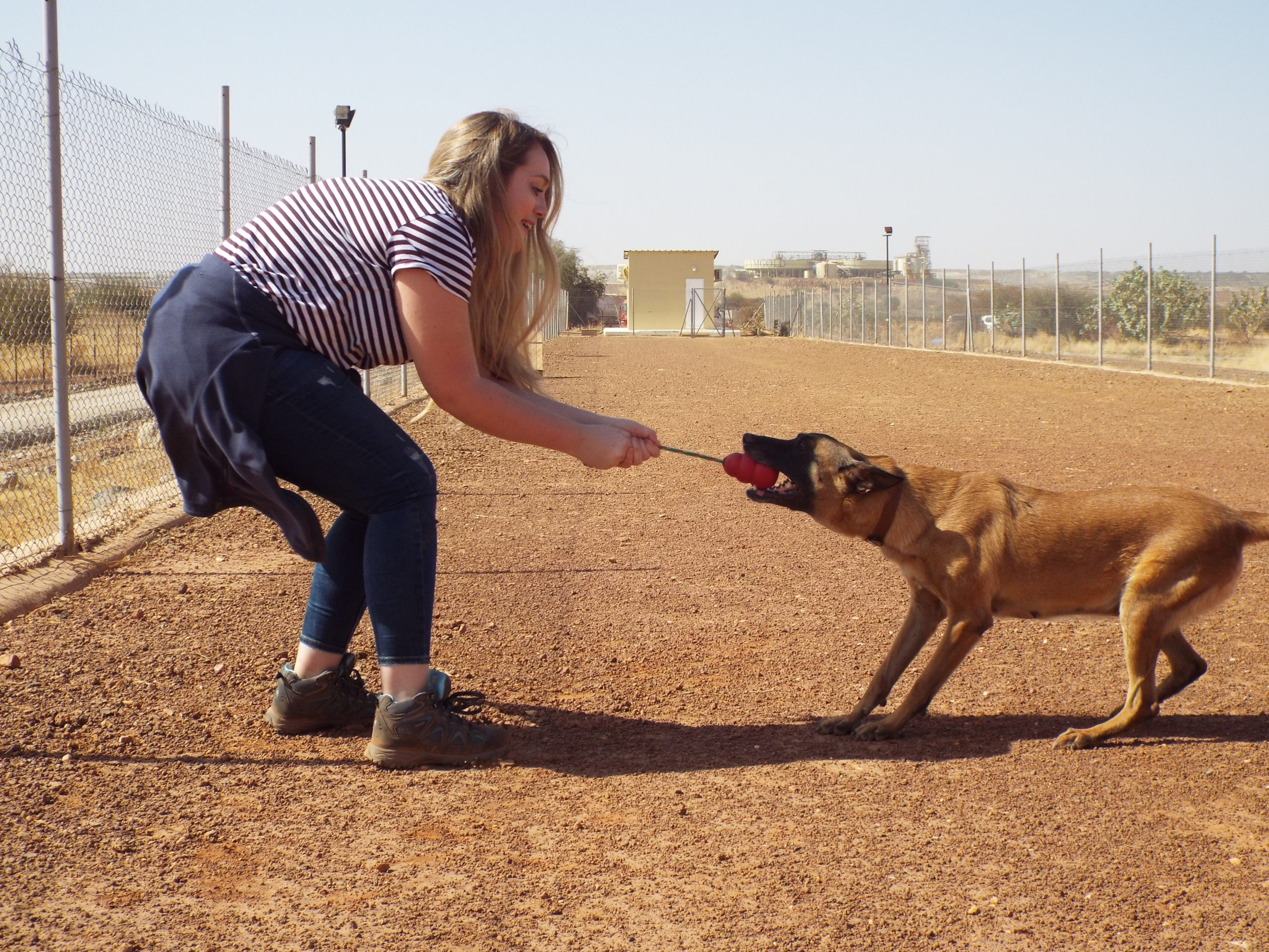 Project Executive Kelly experiencing bite training with SafeLane canines in Burkina Faso