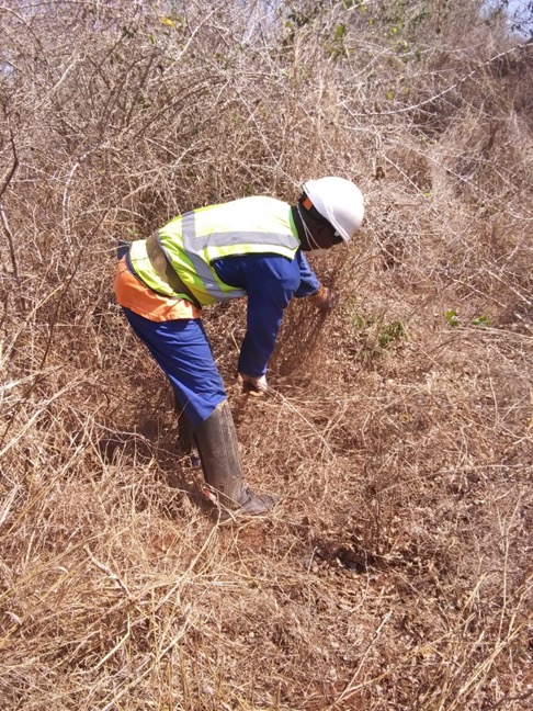 SafeLane deminer Magalhaes Mario Nihitsala working in Mozambique