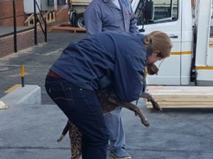 Elmarie kissing the dogs goodbye!