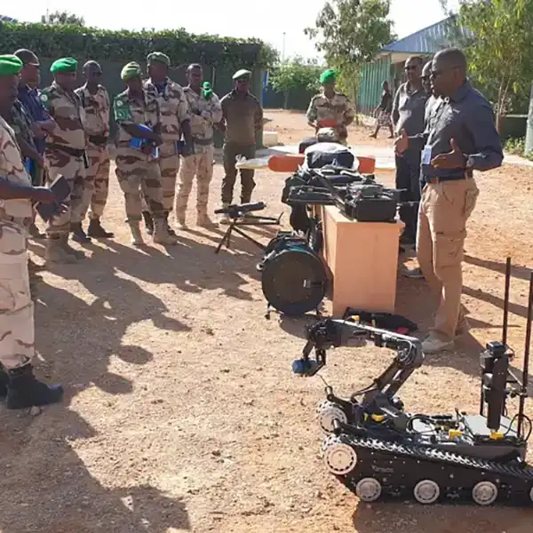 Training & Mentoring