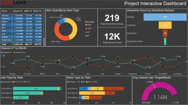 Information Management Services